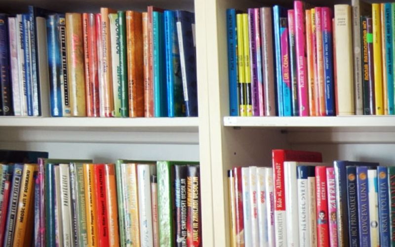 knjiznica_smartno_ob_paki