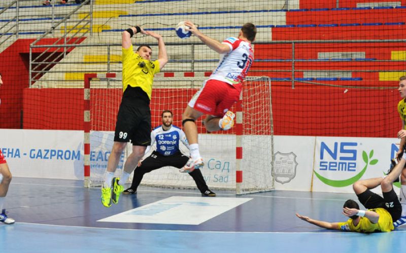 gorenje_vojvodina_seha