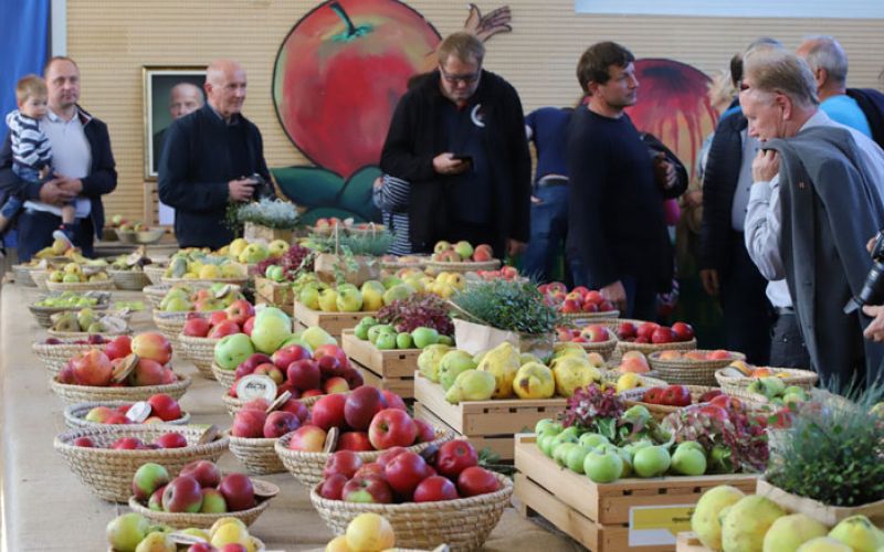 razstava-sadja—fotojozemiklavc22-IMG_9230