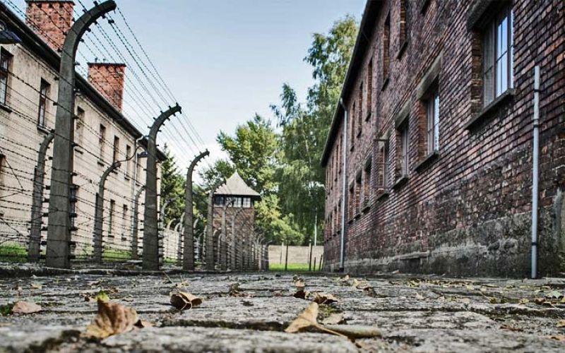 taborisce-auschwitz