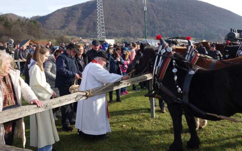 blagoslov-konj-šmartno