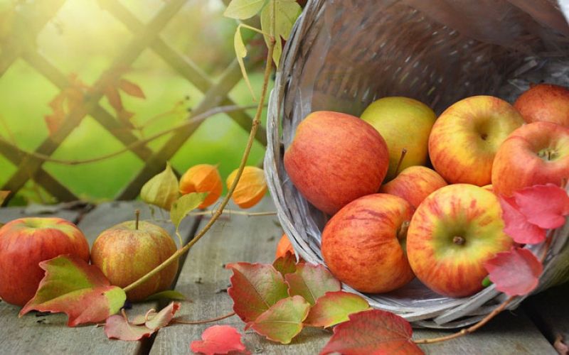 jesen-apples-1776744_1280