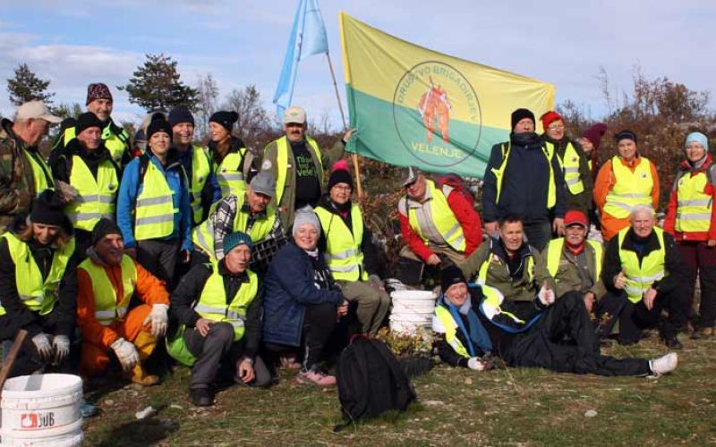 drustvo-brigadirjev-velenje