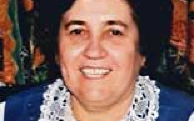 vida-lesnika-polutnik