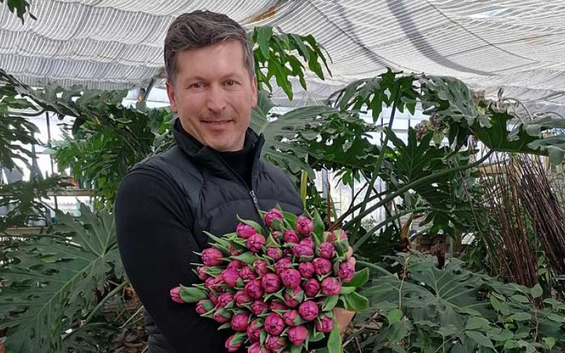 simon-ogrizek_101920