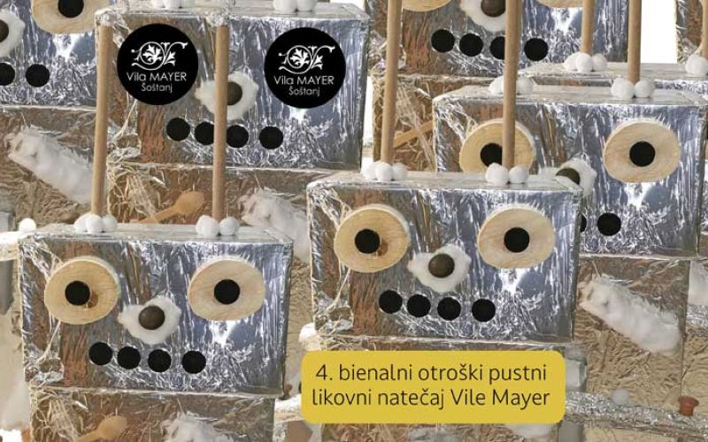 Natečaj-Pustovanje-pri-Mayerjevih,-prva-stran-jpg