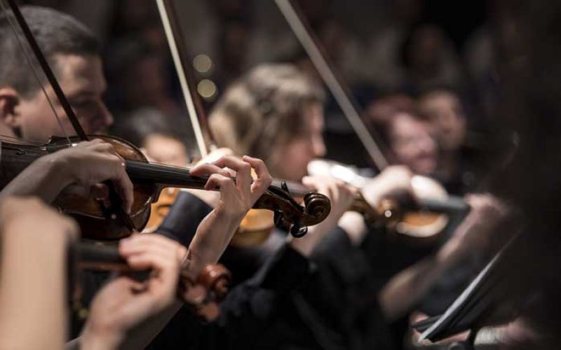 glasba-violins-1838390_1280