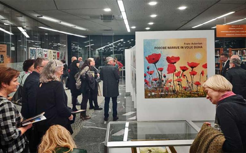 razstava-franc-avbersek.jpg