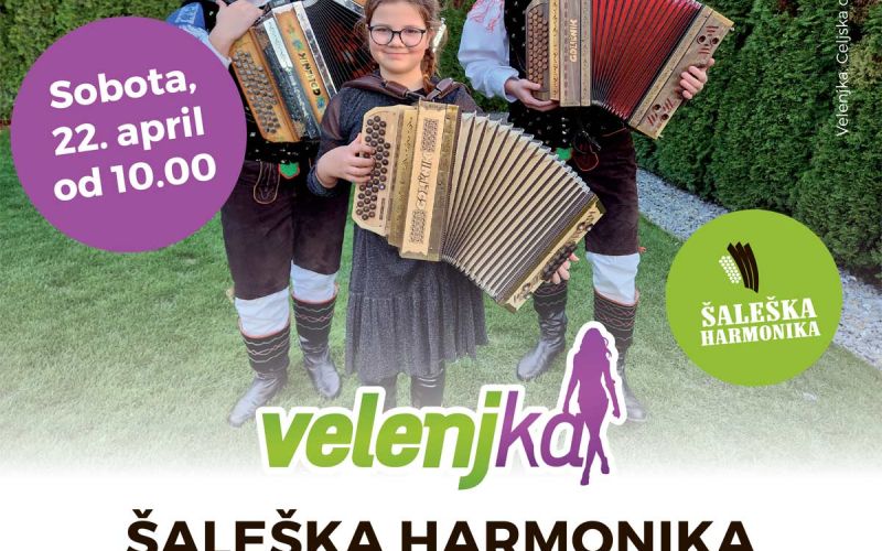 HARMONIKA.jpg