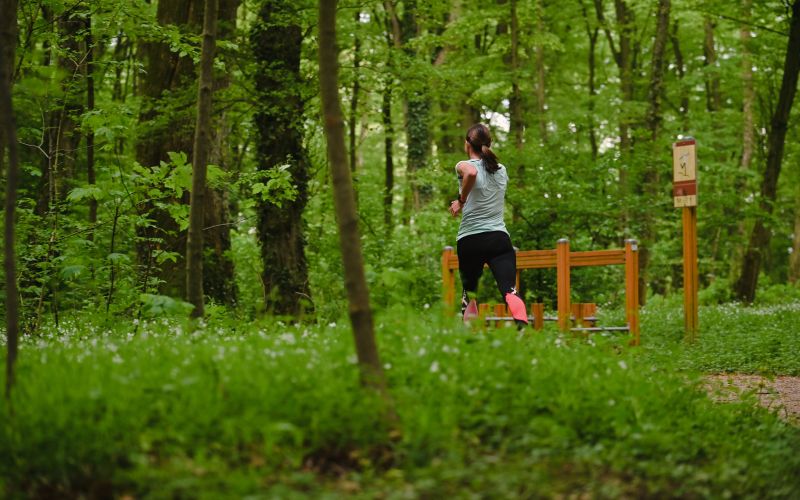 simbolična, rekreacija, tek, trimčkanje, fazanerija, gibanje, telovadba