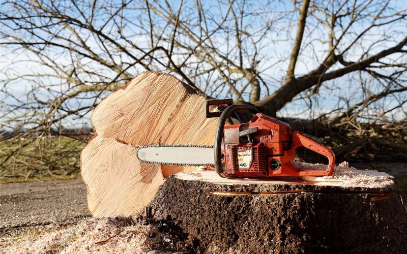 chainsaw-4815949_1920.jpg