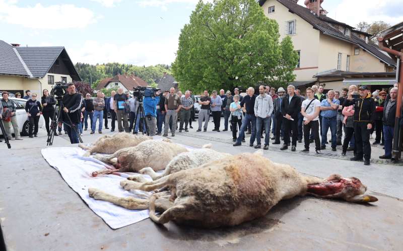 protest-kmetov, zgornje-gorje