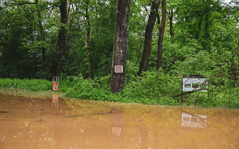 poplave-2023, bistrica-mura, poplavljen-rokav