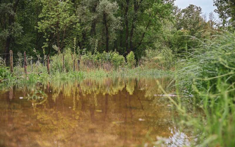 poplave-2023, bistrica-mura, poplavljen-rokav