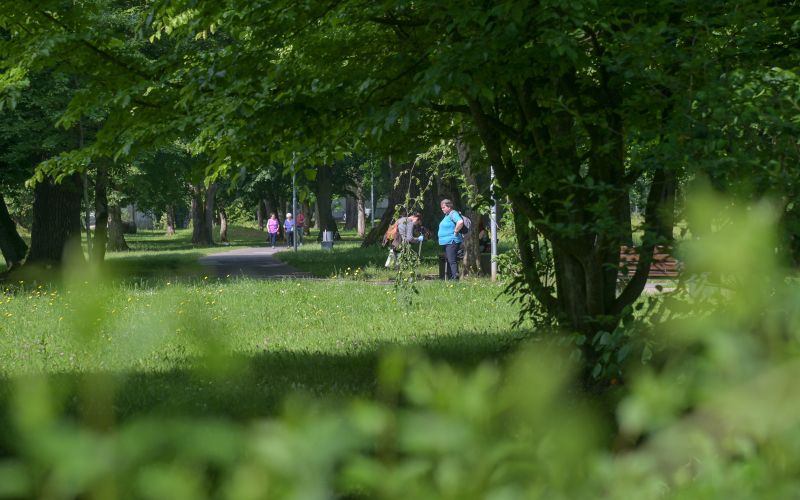 simbolična, park, pomlad, drevored, grad