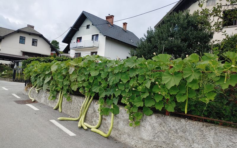 TM naslovna-jun23.jpg