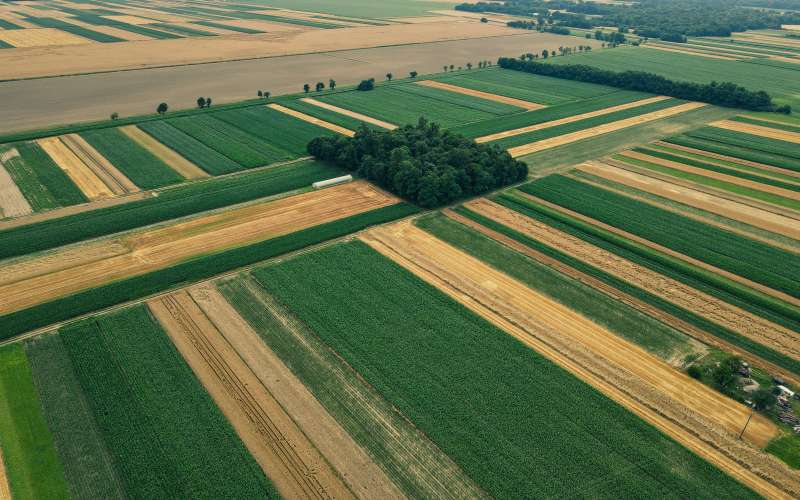 simbolična, dron, polja, polje, njiva, njive, kmetijstvo, poljedelstvo