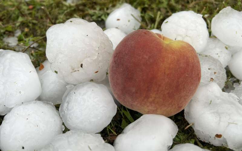 krško meteoinfo.jpg