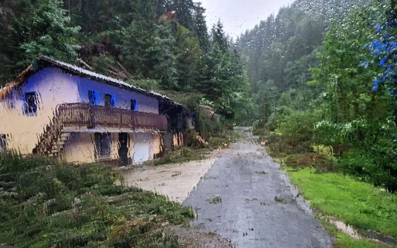 neurje, črna na koroškem