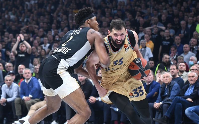 mirotic.jpg