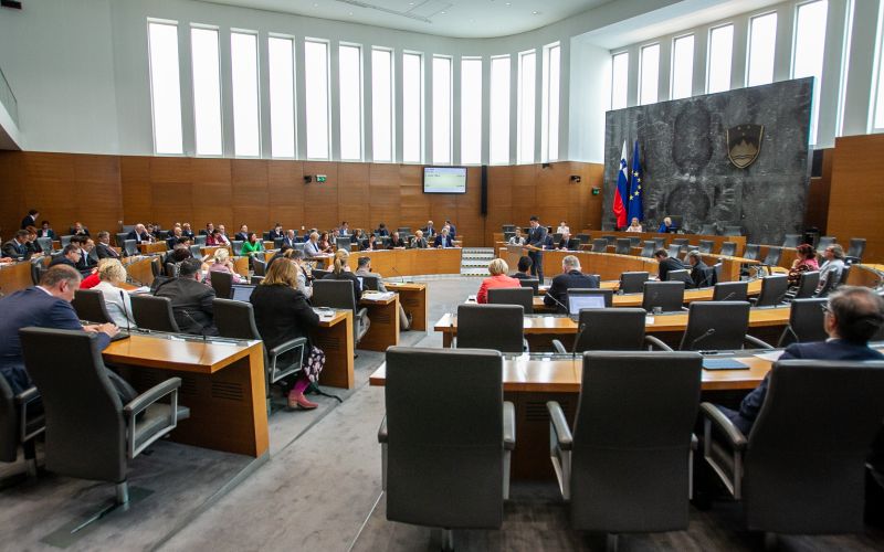 državni zbor, parlament