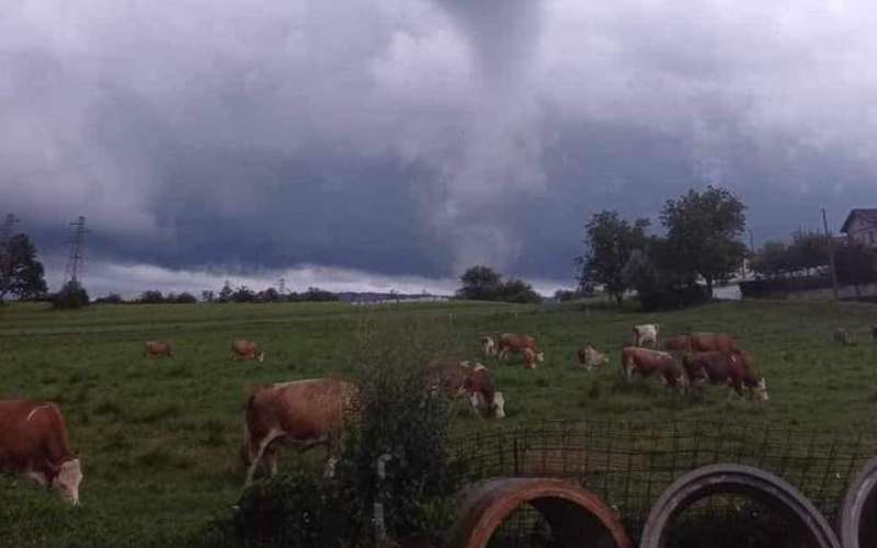 tornado, koseze