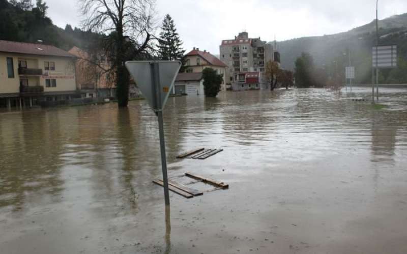 _krsko2010.jpg