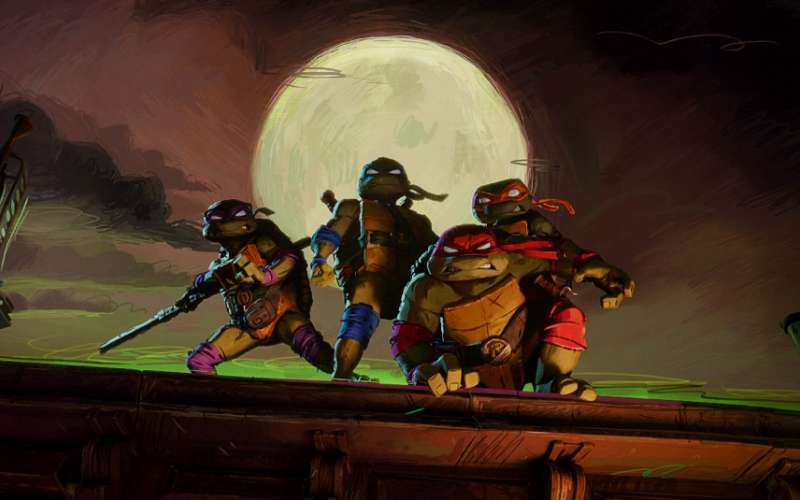 Ninja Želve, znane tudi kot Teenage Mutant Ninja Turtles (TMNT), so se prvič pojavile v ameriških st