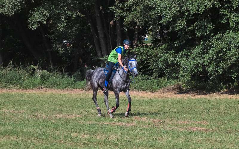 vzdržljivostno-jahanje-endurance-goričko-2023, konj, konji, dolnji-slaveči