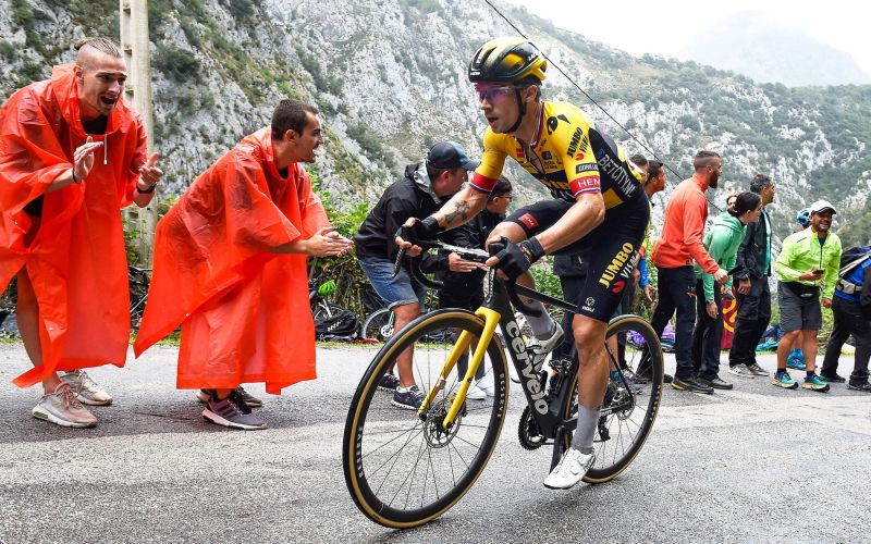 roglic.jpg