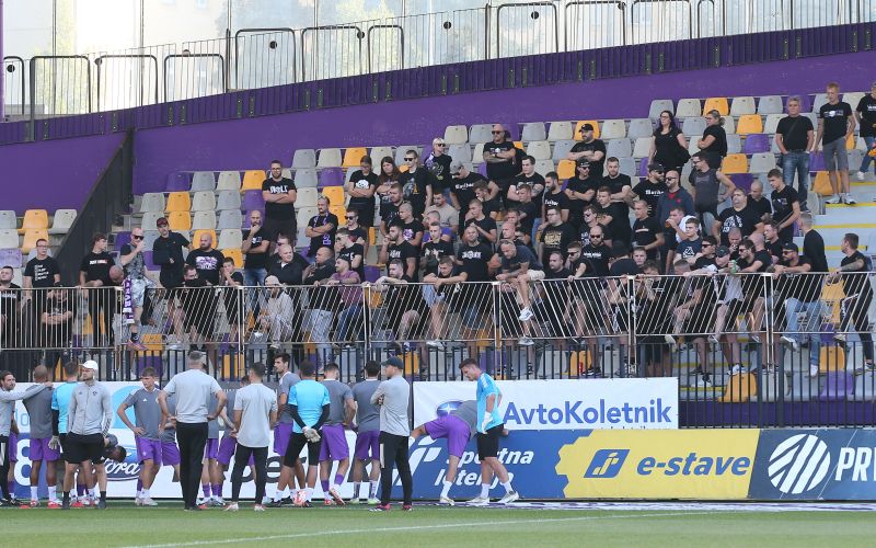 maribor viole dw.jpg