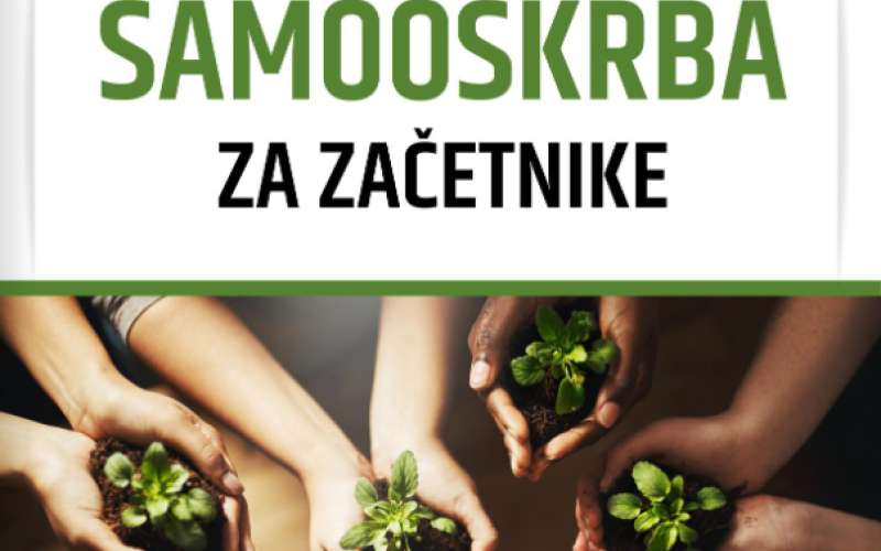 zlu publikacija.png