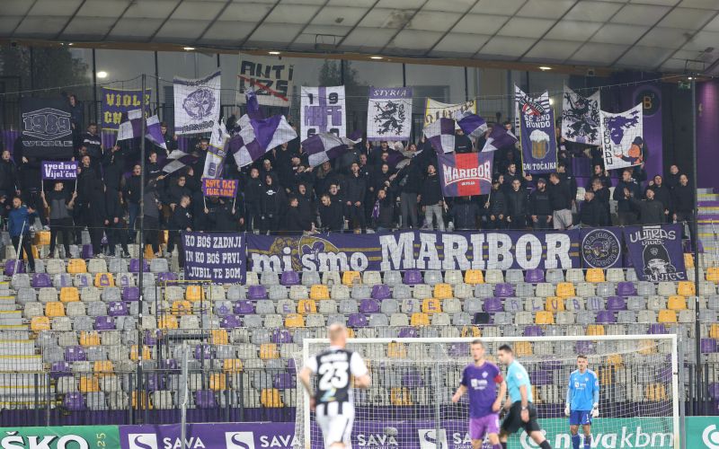 viole maribor dw.jpg