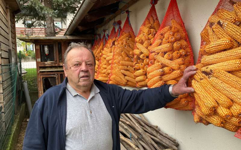 dragomer kokosi (2).jpg