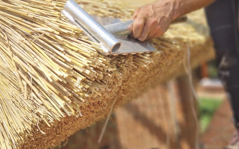 Dokumentarni film o slamokrovstvu Golnar