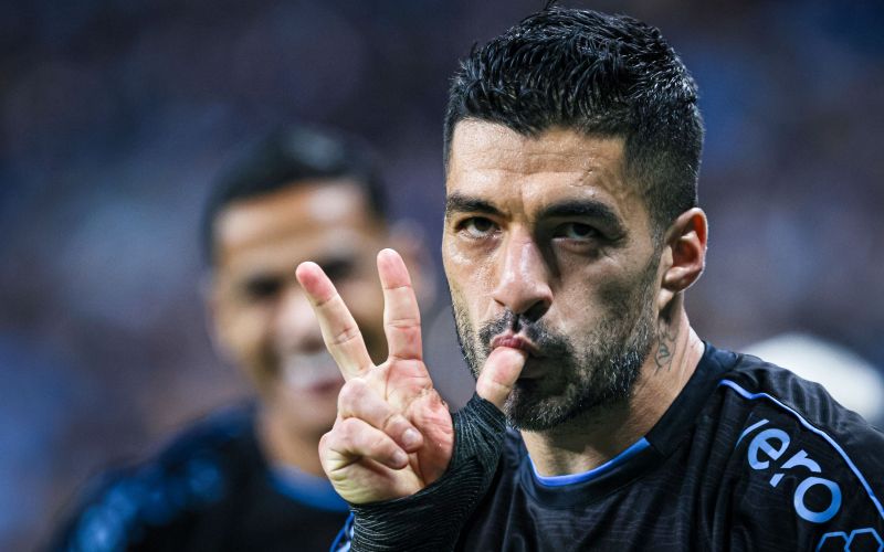 486-9-suarez (obrez).jpg