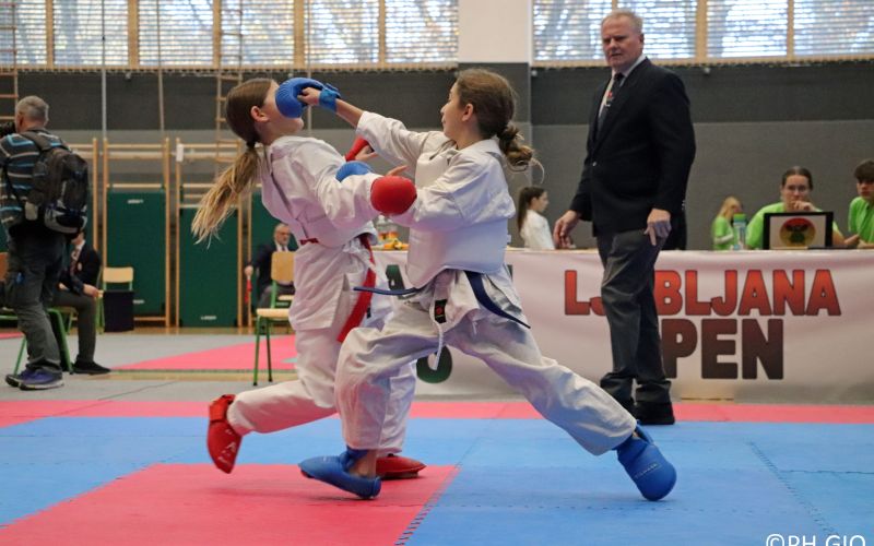 ljubljana open karate.jpg