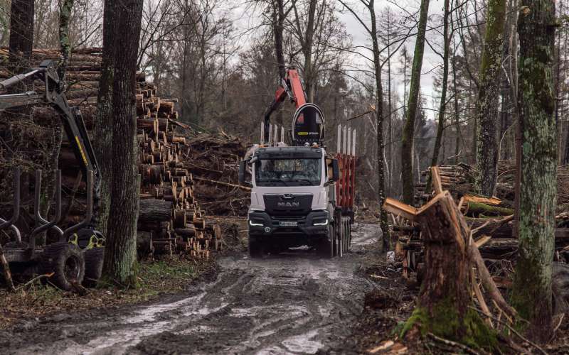 simbolična, apače, gozd, neurje, uničeni-gozdovi, spravilo-lesa, pokončna