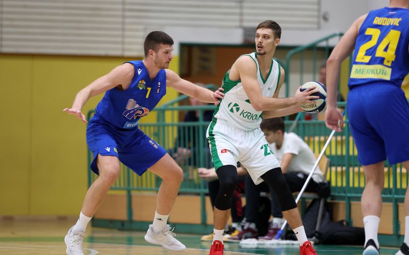 Šenčur krka dino muric 23 af.JPG