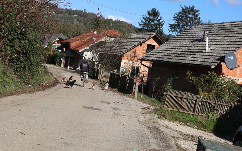 PRIMOŽ LAVREđ.jpg