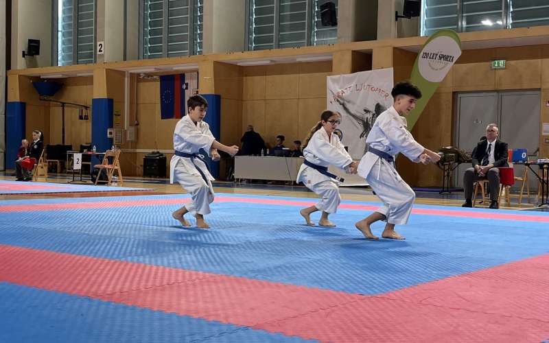 karate, pokalno-tekmovanje, regija, ljutomer