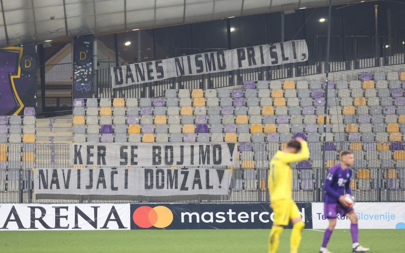 viole 2.jpg