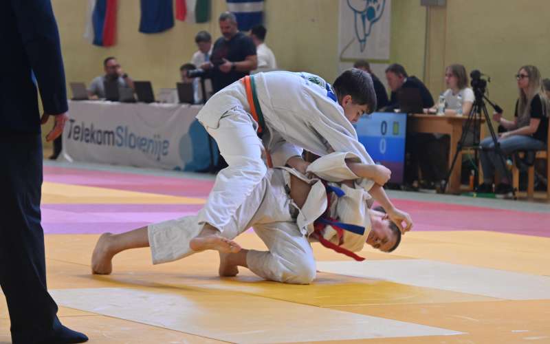 lendava, judo