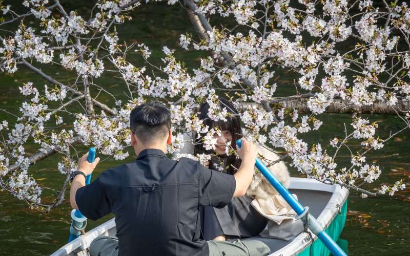 japonska