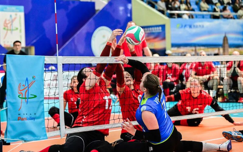 slovenija odbojka sede.jpg