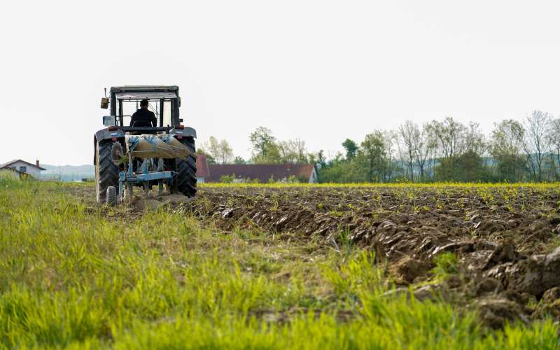 kmetijstvo, poljedeljstvo, njive, traktor, gnojenje