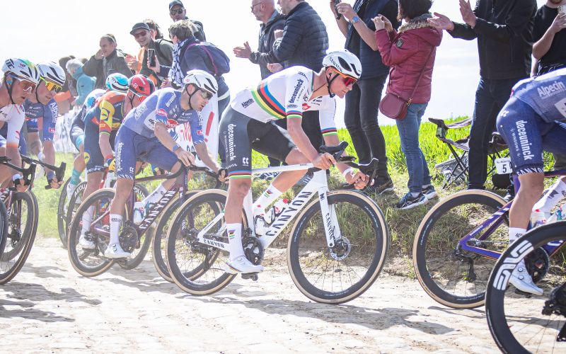 van der poel.jpg