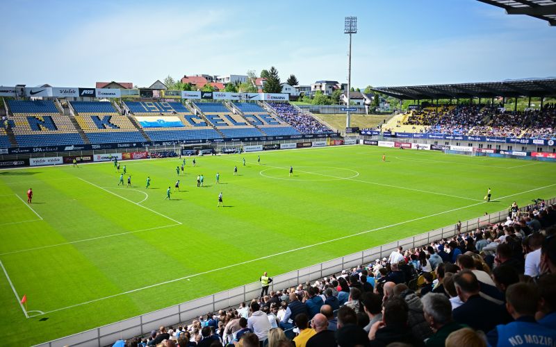 celje olimpija.jpg