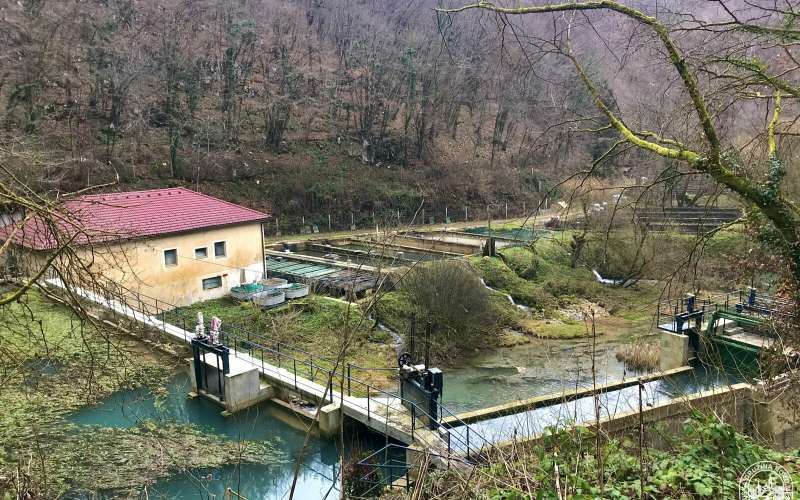 ribogojnica_lunkja_jan.jpg