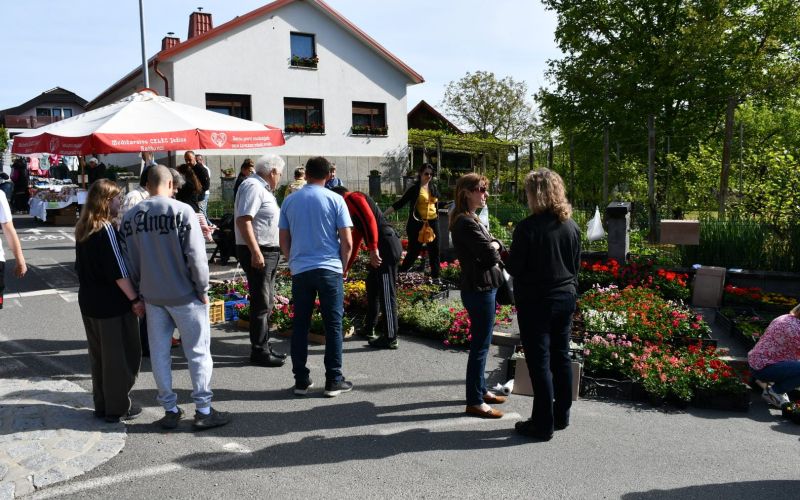 križani-četrtek, kuzma